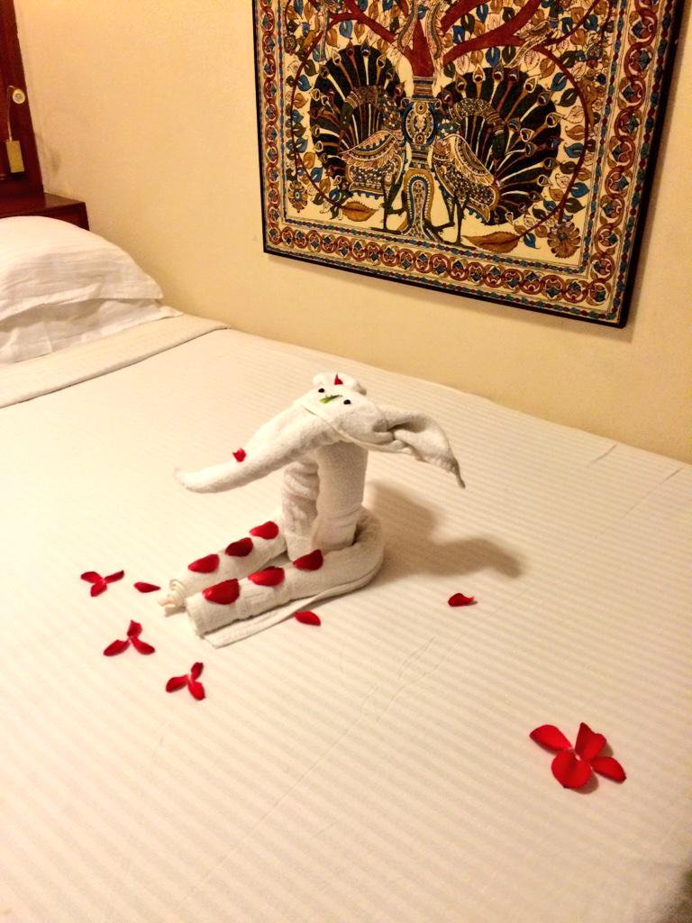 Our valet for our Maharajah train cabin decorated our bed for us tonight. http://t.co/rQeIw9X0gc