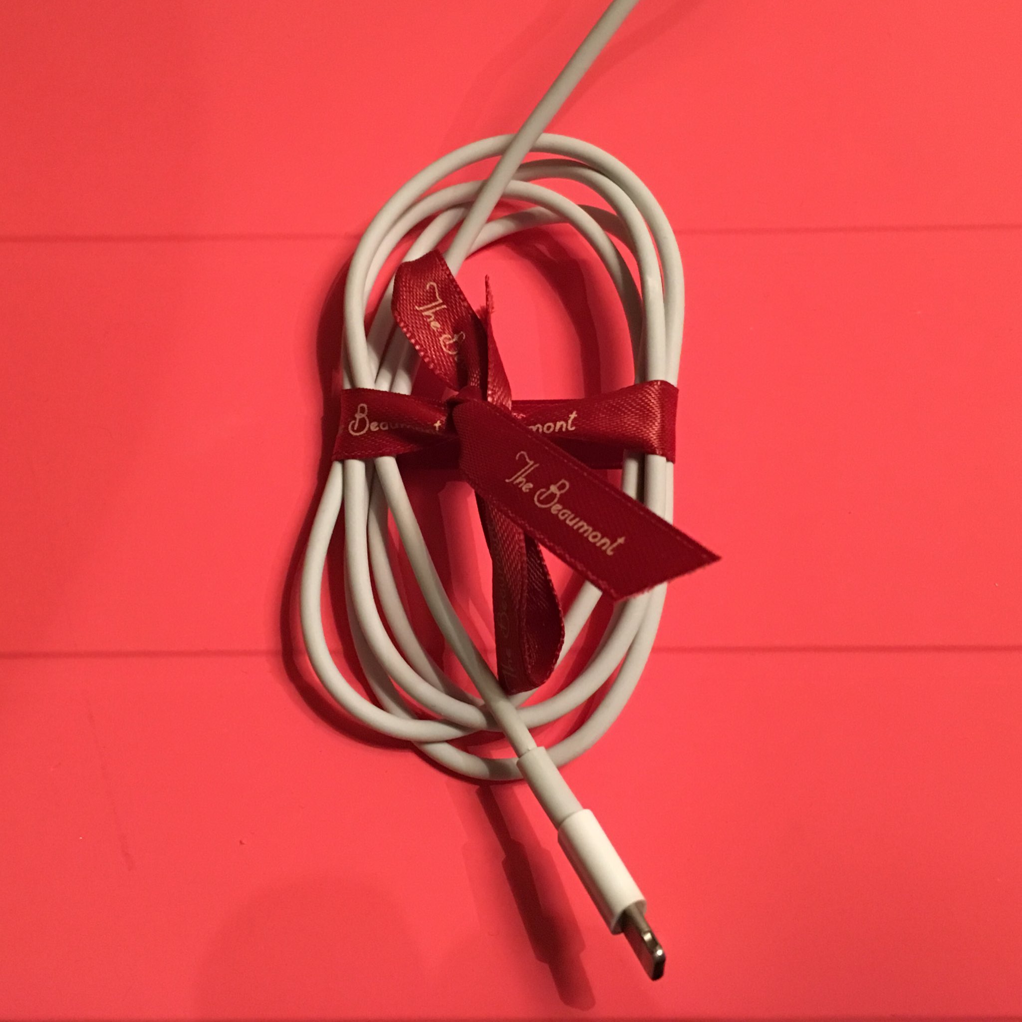 My hotel keeps tidying up my iPhone charging cable with a twee little ribbon and I'm starting to feel a little judged. https://t.co/cbrQzUM7vh