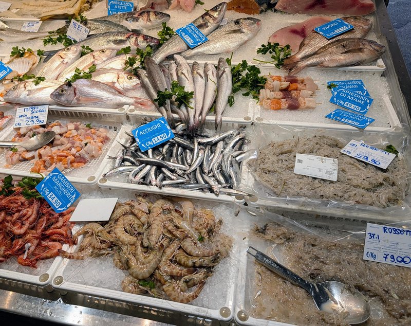 Some lovely fish. The tiny ones in lower right are rossetti, kind of like whitebait