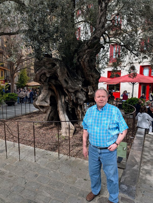 Ken with the Olivera de Cort, a 600 year old olive tree