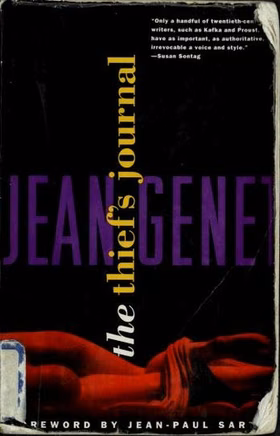 The cover of The Thief's Journal