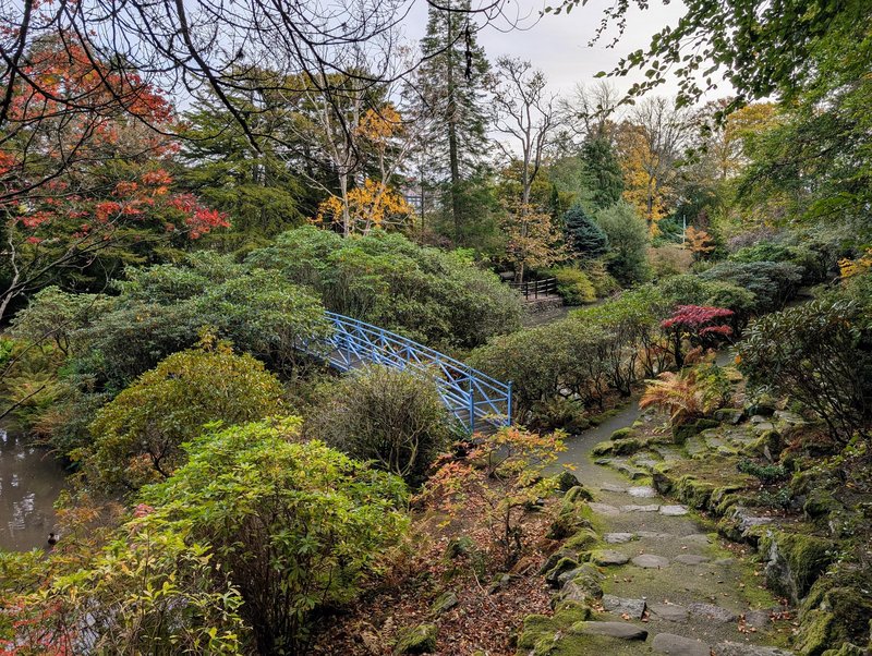 Johnston Gardens