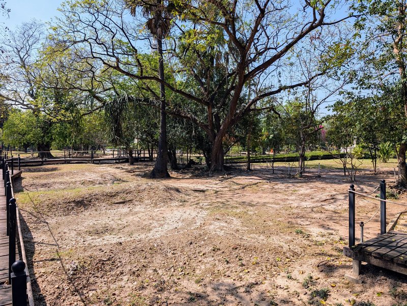 Mass graves, excavated but left rough