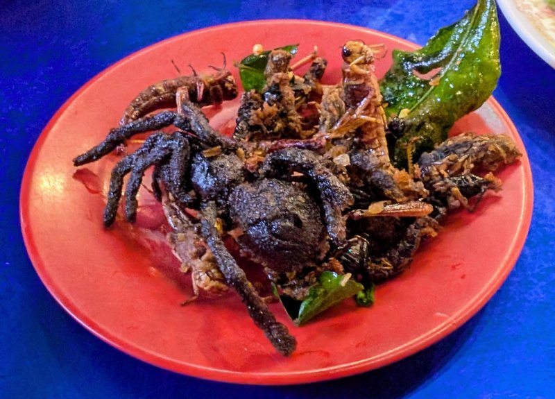 Fried insects, including one very large spider I did not have the courage to eat. The crickets were delicious!