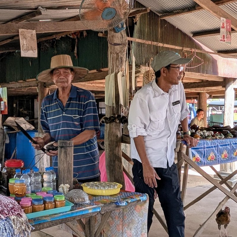 Demonstrating sugar palm. The man on the left is 73 and climbs trees to harvest palm juice.