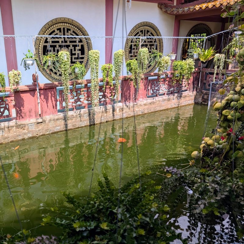 A fish pond in the middle of the pagoda