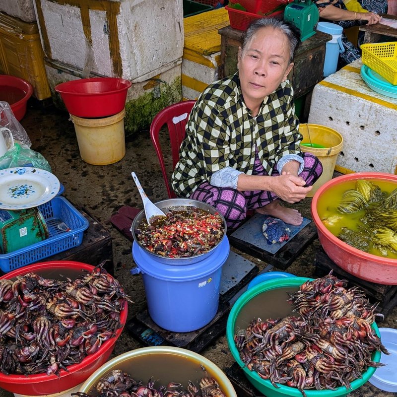 Woman in two kinds of checks selling fermented crabs and mustard greens