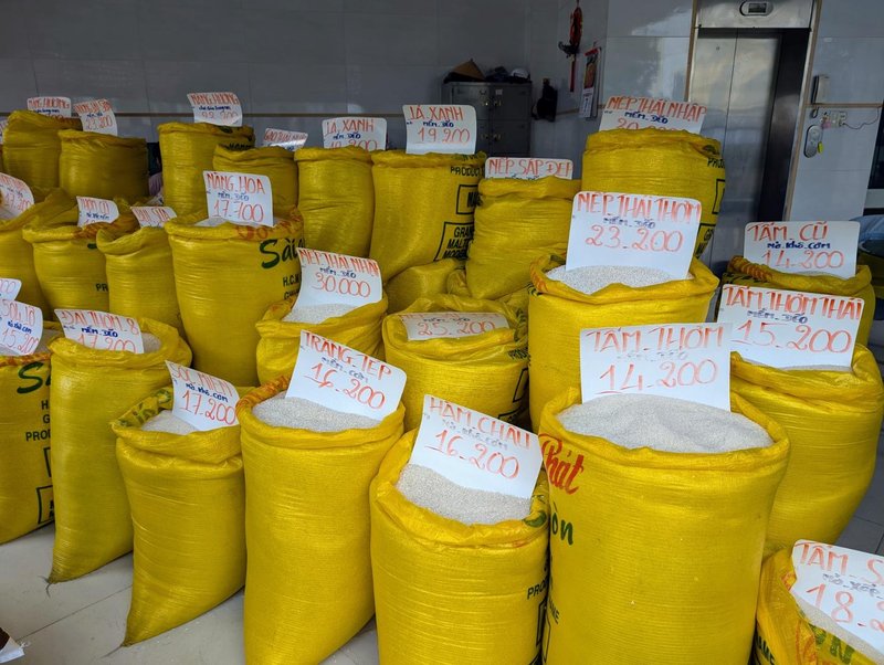 Rice for sale, this businessman is apparently the leading seller in town with the freshest rice