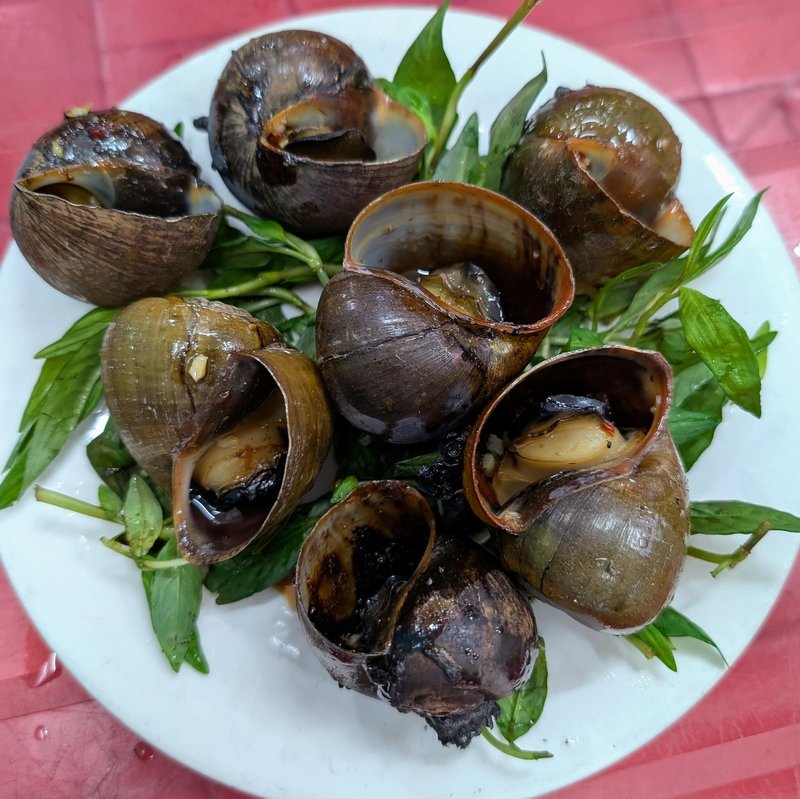 River snails, not to my taste