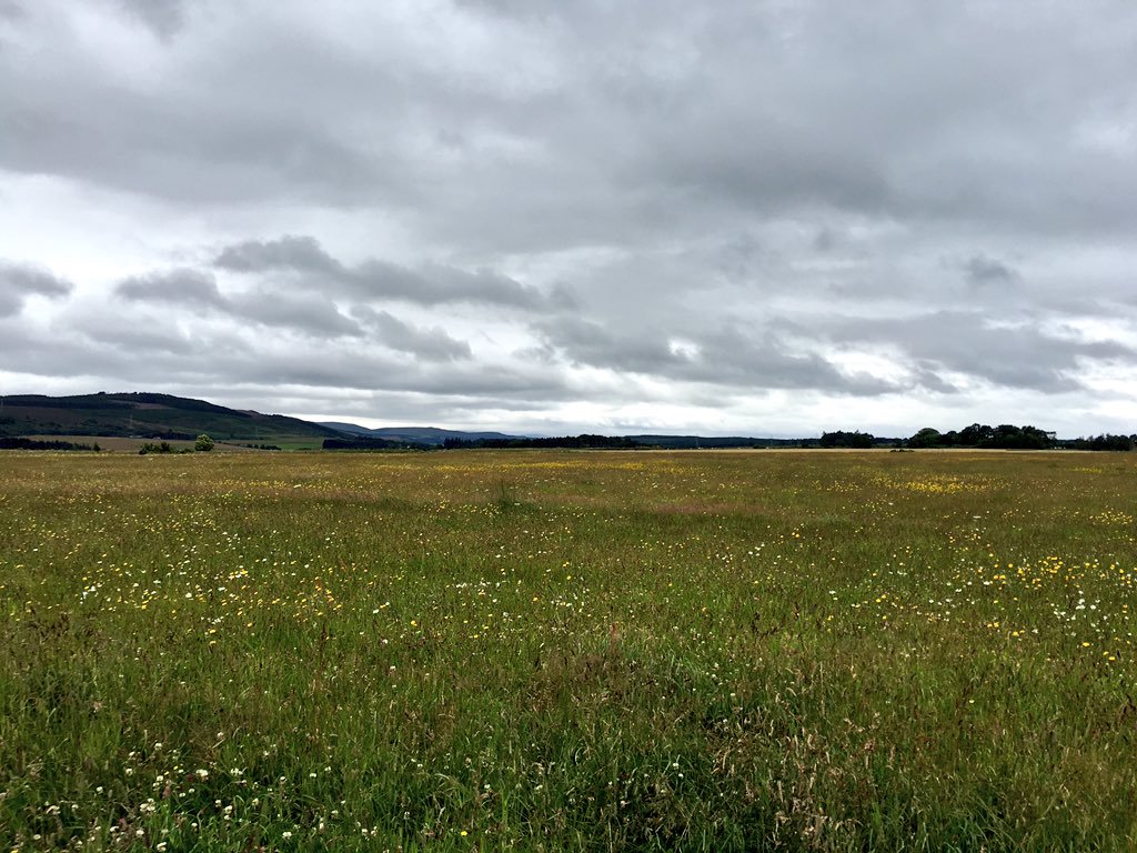 Cheers from Sunny Scotland and its massacre of the Jacobin uprising of 1745, at Cullodin / Cuil Lodair. https://t.co/SRe8P06hJ7